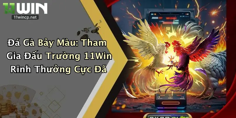Đá Gà Bảy Màu: Tham Gia Đấu Trường 11Win Rinh Thưởng Cực Đã 1 Đá Gà Bảy Màu: Tham Gia Đấu Trường 11Win Rinh Thưởng Cực Đã