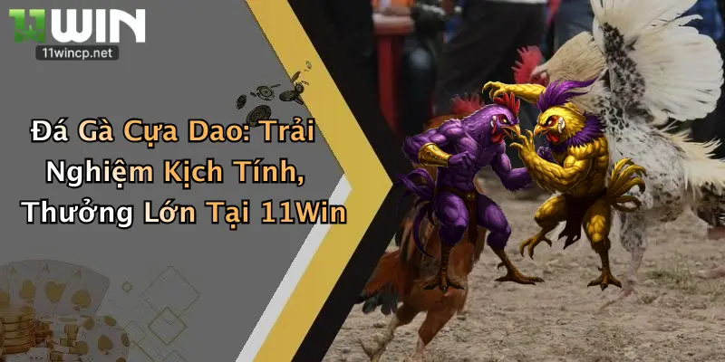 Đá Gà Cựa Dao: Trải Nghiệm Kịch Tính, Thưởng Lớn Tại 11Win 1 Đá Gà Cựa Dao: Trải Nghiệm Kịch Tính, Thưởng Lớn Tại 11Win