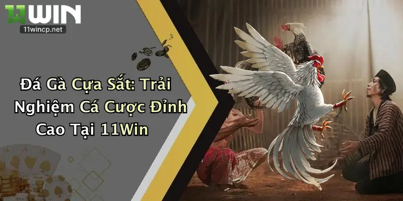 Đá Gà Cựa Sắt: Trải Nghiệm Cá Cược Đỉnh Cao Tại 11Win 1 Đá Gà Cựa Sắt: Trải Nghiệm Cá Cược Đỉnh Cao Tại 11Win