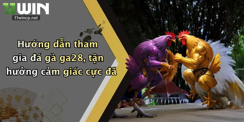 Đá Gà GA28: Thỏa Đam Mê Cá Cược Đỉnh Cao Cùng 11Win 4 Hướng dẫn tham gia đá gà ga28, tận hưởng cảm giác cực đã