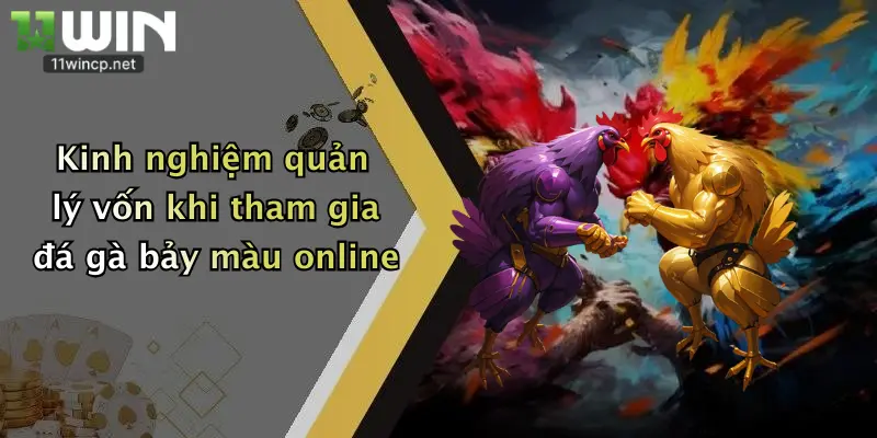 Đá Gà Bảy Màu: Tham Gia Đấu Trường 11Win Rinh Thưởng Cực Đã 4 Kinh nghiệm quản lý vốn khi tham gia đá gà bảy màu online