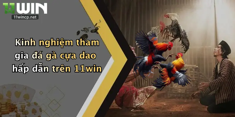 Đá Gà Cựa Dao: Trải Nghiệm Kịch Tính, Thưởng Lớn Tại 11Win 4 Kinh nghiệm tham gia đá gà cựa dao hấp dẫn trên 11win