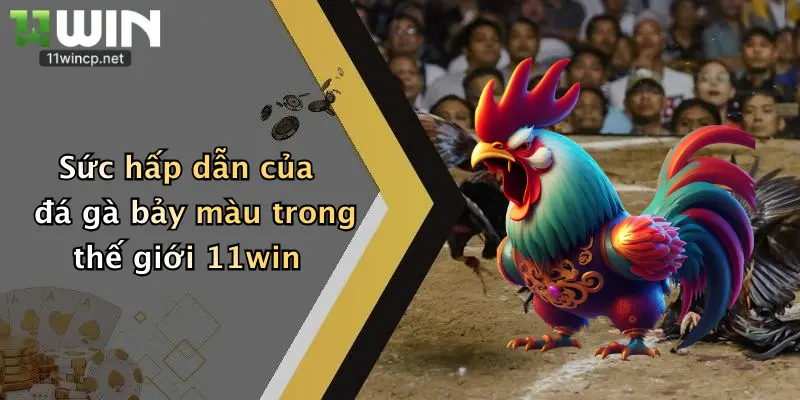 Đá Gà Bảy Màu: Tham Gia Đấu Trường 11Win Rinh Thưởng Cực Đã 5 Sức hấp dẫn của đá gà bảy màu trong thế giới 11win