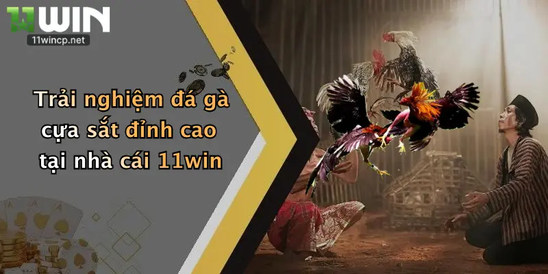 Đá Gà Cựa Sắt: Trải Nghiệm Cá Cược Đỉnh Cao Tại 11Win 2 Trải nghiệm đá gà cựa sắt đỉnh cao tại nhà cái 11win